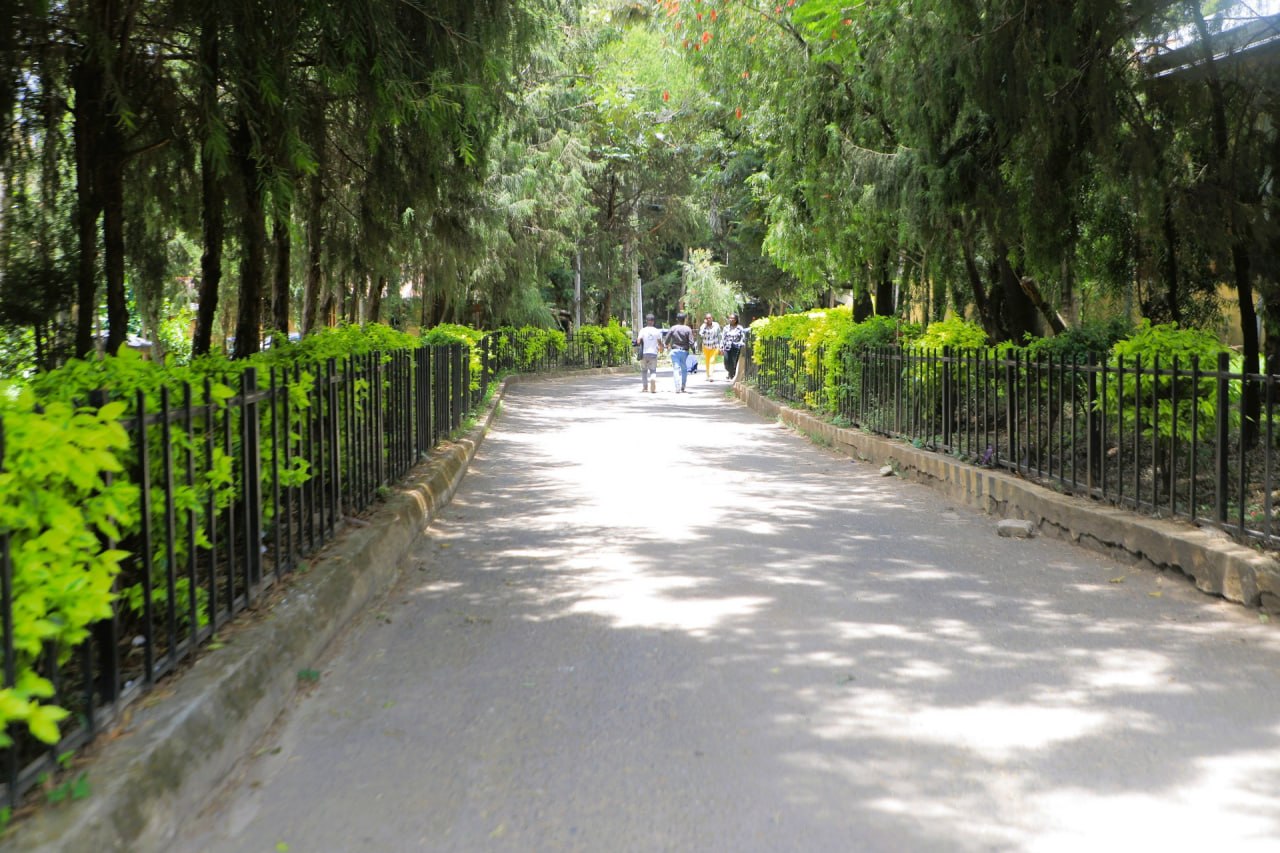 Menelik Main Campus
